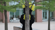 Wu_Shock wu wsu wearamask maskup GIF