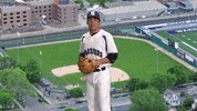 Baseball Warriors GIF by WinonaStateATH