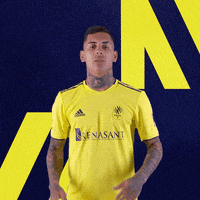 Nsc GIF by Nashville SC