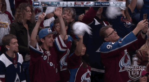 ice hockey sport GIF by NHL