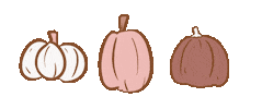 Pumpkin Patch Halloween Sticker
