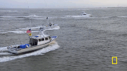 natgeochannel wicked tuna GIF