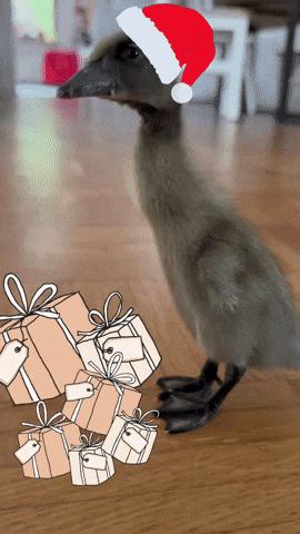 X-Mas Christmas GIF