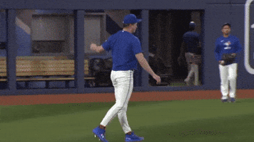 Blue Jays Baseball GIF by Toronto Blue Jays