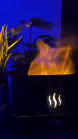 TheEden01 giphyupload GIF