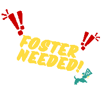Foster Sticker by HIT Living Foundation