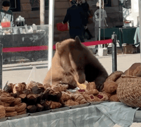 Hungry Sweet Tooth GIF