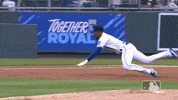 Kansas City Baseball GIF by MLB