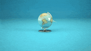 curiosity is the key "o" GIF by noe_design