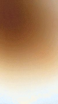 Boss Plushie GIF by Youtooz