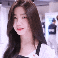 K Pop Fighting GIF