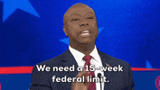 Republican Primary Debate Gop GIF