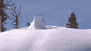 awesome you can do it GIF by X Games 