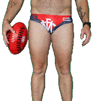 BudgySmuggler afl hawks carlton budgie Sticker