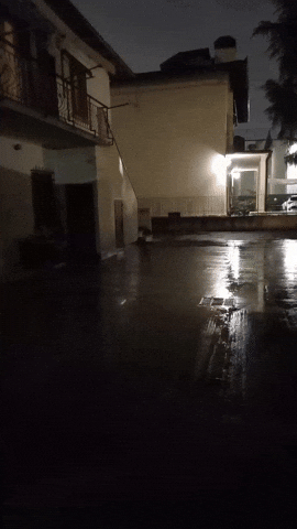 Simongip giphyupload GIF