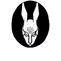 whiterabbitwaterloo whiterabbit whiterabbitpublichouse whitetabbitwaterloo Sticker