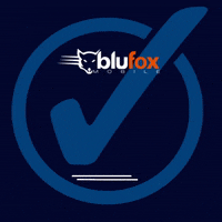 Check Blu GIF by Blufox Mobile