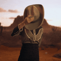 Cowboy Arizona GIF by GoPlay