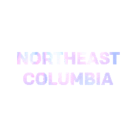 Rally Sticker by NewSpring Church
