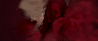 Music Video 12 Steps GIF by CXLOE