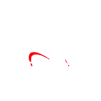 SeletronPerformance racing performance tuning exhaust Sticker