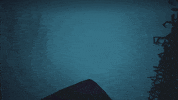annapurnainteractive annapurnainteractive edithfinch GIF