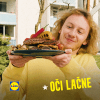 Party Piknik GIF by Lidl Slovenija
