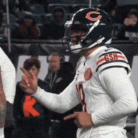 Chicago Bears Football GIF