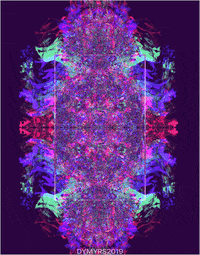 DYMYRS art trippy psychedelic colorful GIF