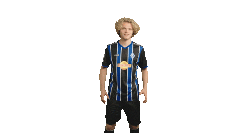 svwaldhofmannheim giphyupload fussball jubel tor Sticker