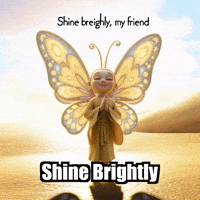 Inner Light GIF by BuddhaFlyJourney