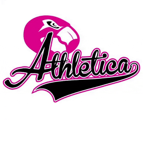 F4517MR f45 f4517mr GIF