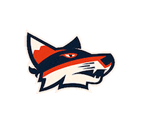 basketball abbotsford Sticker by Fraser Valley Bandits