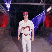 Home Run Celebration GIF by Gamecock Athletics