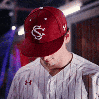 Home Run Celebration GIF by Gamecock Athletics