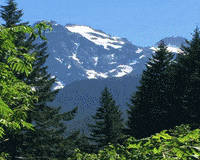 House Music Rap GIF by brazaaudio