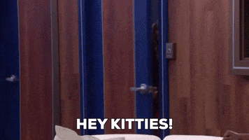 Entrance Hello GIF by Big Brother
