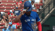 Blue Jays Baseball GIF by Toronto Blue Jays