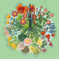 Time Flies GIF by Prestel Verlag