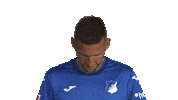 Look Up Tsg Hoffenheim Sticker by Bundesliga