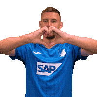 Pavel Kaderabek Sport Sticker by TSG Hoffenheim