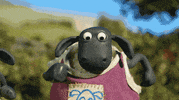 Shaun The Sheep Competition GIF by Aardman Animations