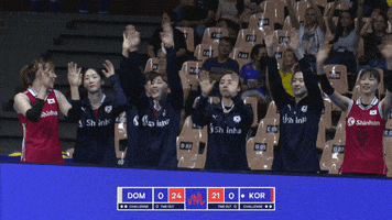 Happy Lets Go GIF by Volleyball World