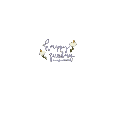 Maddyjunecreates giphyupload stars sunday happy sunday Sticker