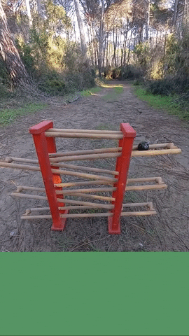 Simongip giphyupload GIF