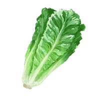 Sticker by Fresh From Florida