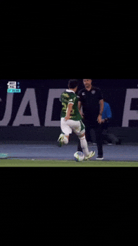 Sep Veiga GIF