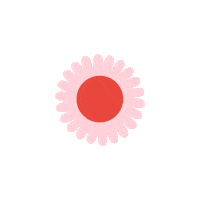 ingridtsc flowers floral flor margarita Sticker