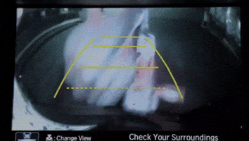 Cactus Jack Whatever GIF