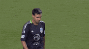 All-Star Mls GIF by San Jose Earthquakes